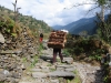 man-taking-chickens-up-annapurna-trek-nepal