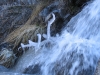 frozen-branch-annapurna-sanctuary-trek-nepal