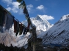 prayer-flags-annapurans-himalayas-nepal